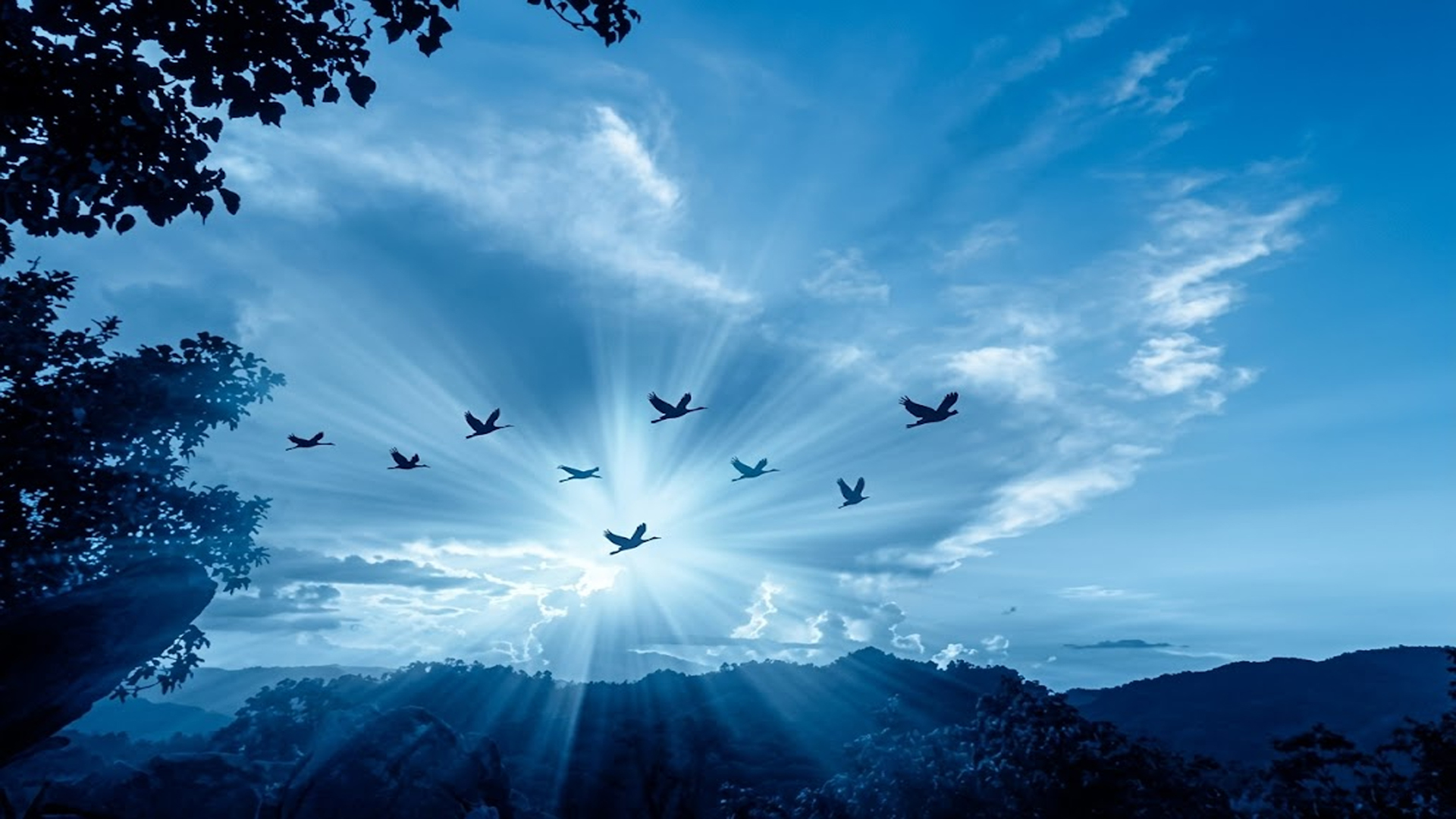 Rehabilitation Center